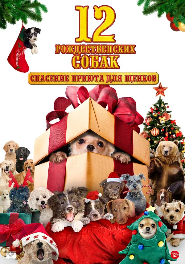 12 рождественских собак: Спасение приюта для щенков